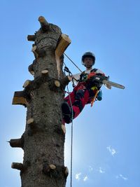 Baumabtragung, Sturmschaden, Baumf&auml;llung